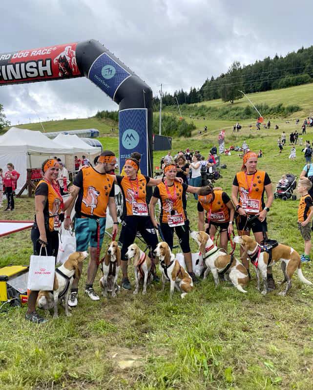 Psie sporty - timove oblecenie